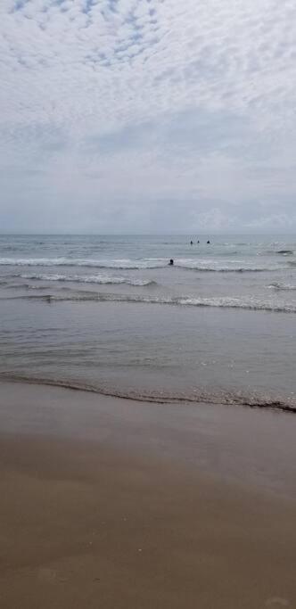 2 Bed 1 Bath Condo By Beach & Entertainment South Padre Island Zewnętrze zdjęcie
